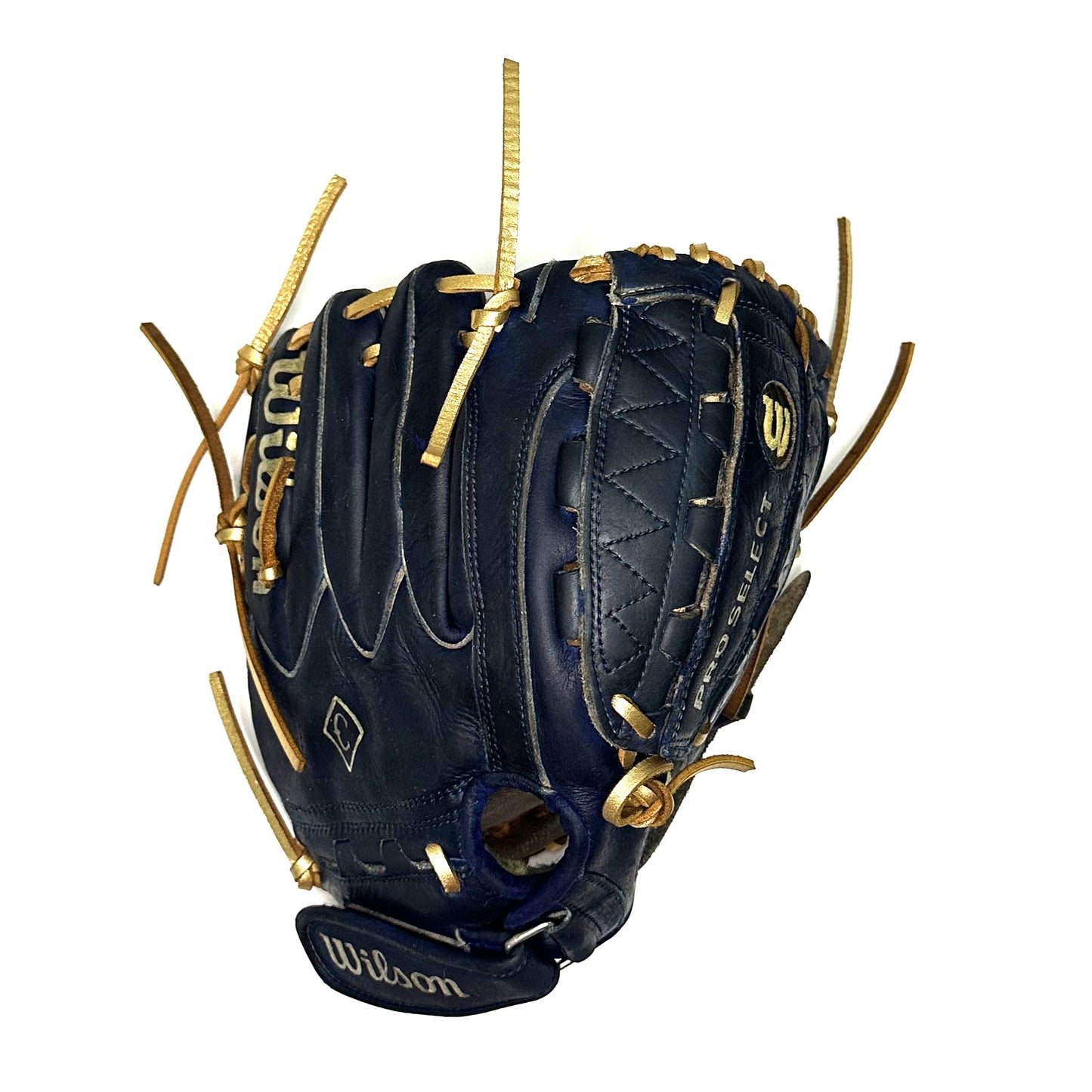 Fully Customized Wilson Pro Select A2000 PS4