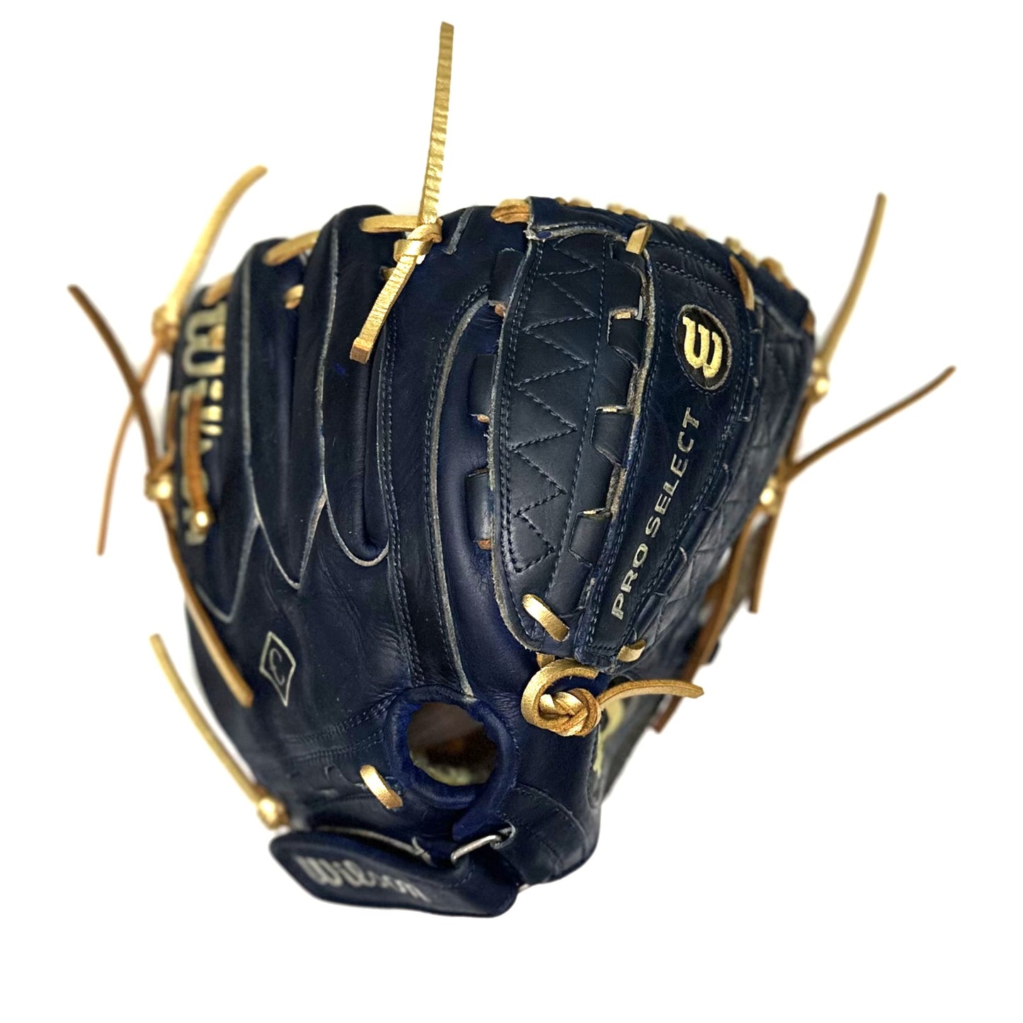 Fully Customized Wilson Pro Select A2000 PS4